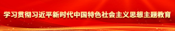 免费插操网站学习贯彻习近平新时代中国特色社会主义思想主题教育